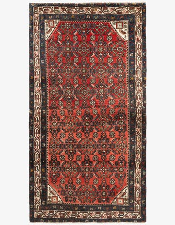 3' 4 x 6' 4 Hamedan Rug