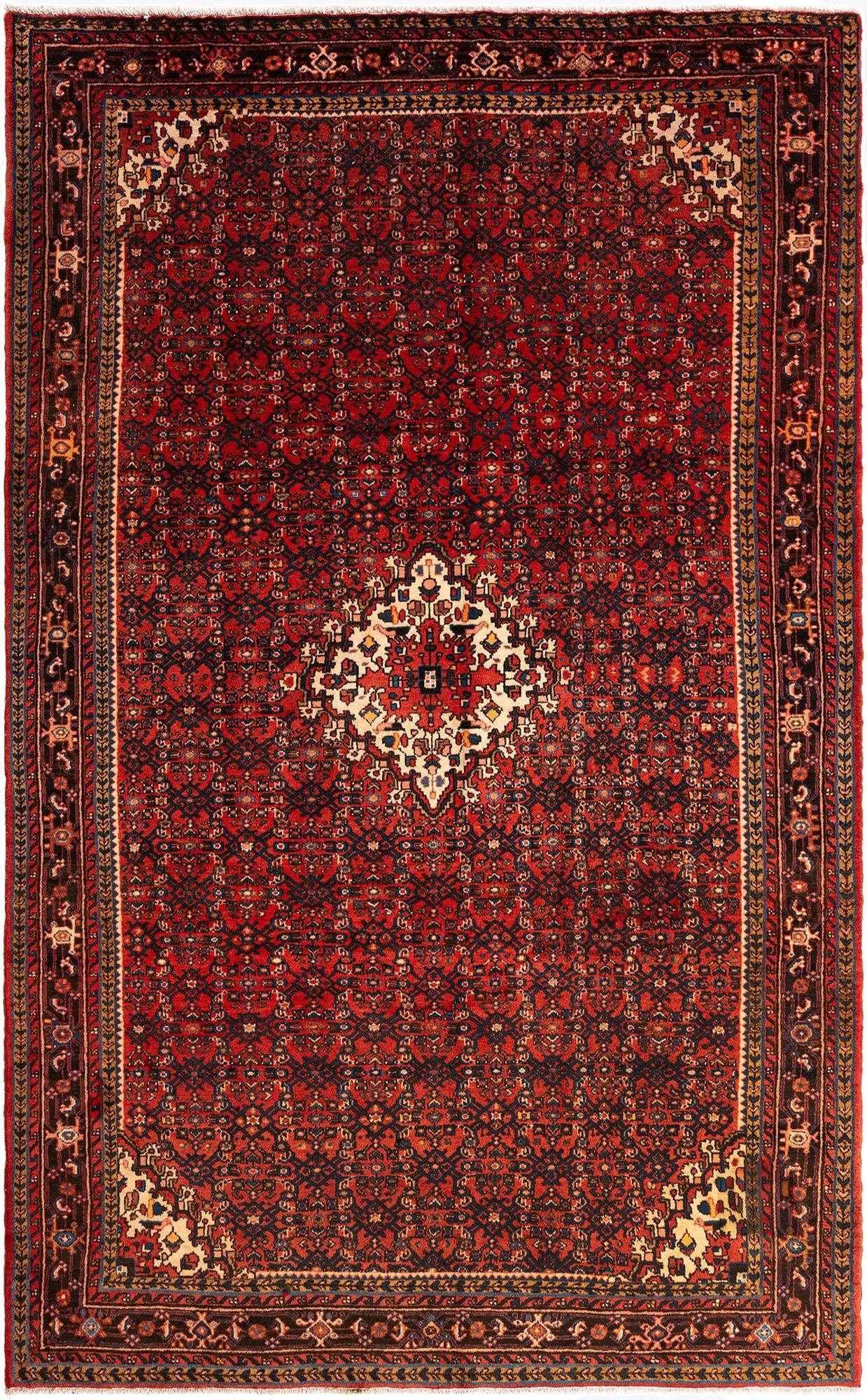 6' 11 x 11' 1 Hamedan Wool Rug