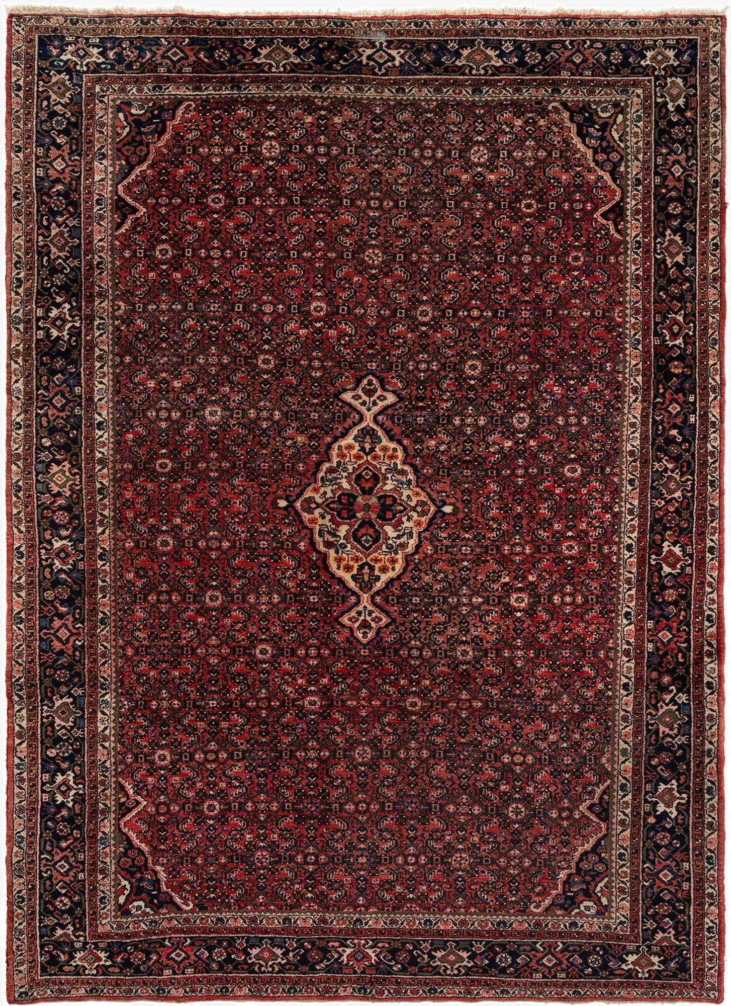 8' 11 x 12' 2 Hamedan Wool Rug