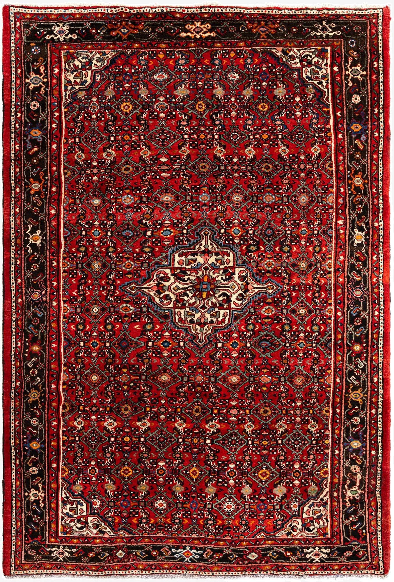 6' 11 x 10' 2 Hamedan Wool Rug