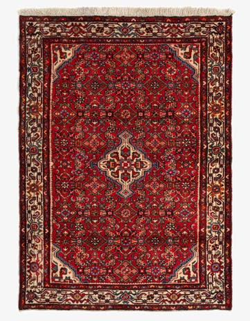4' 9 x 6' 7 Hamedan Wool Rug