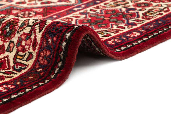 5' 5 x 10' 1 Hossainabad Rug