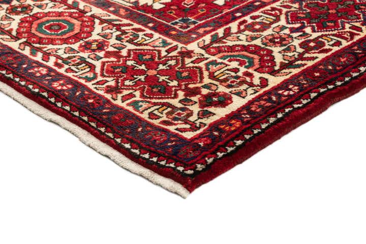 5' 5 x 10' 1 Hossainabad Rug