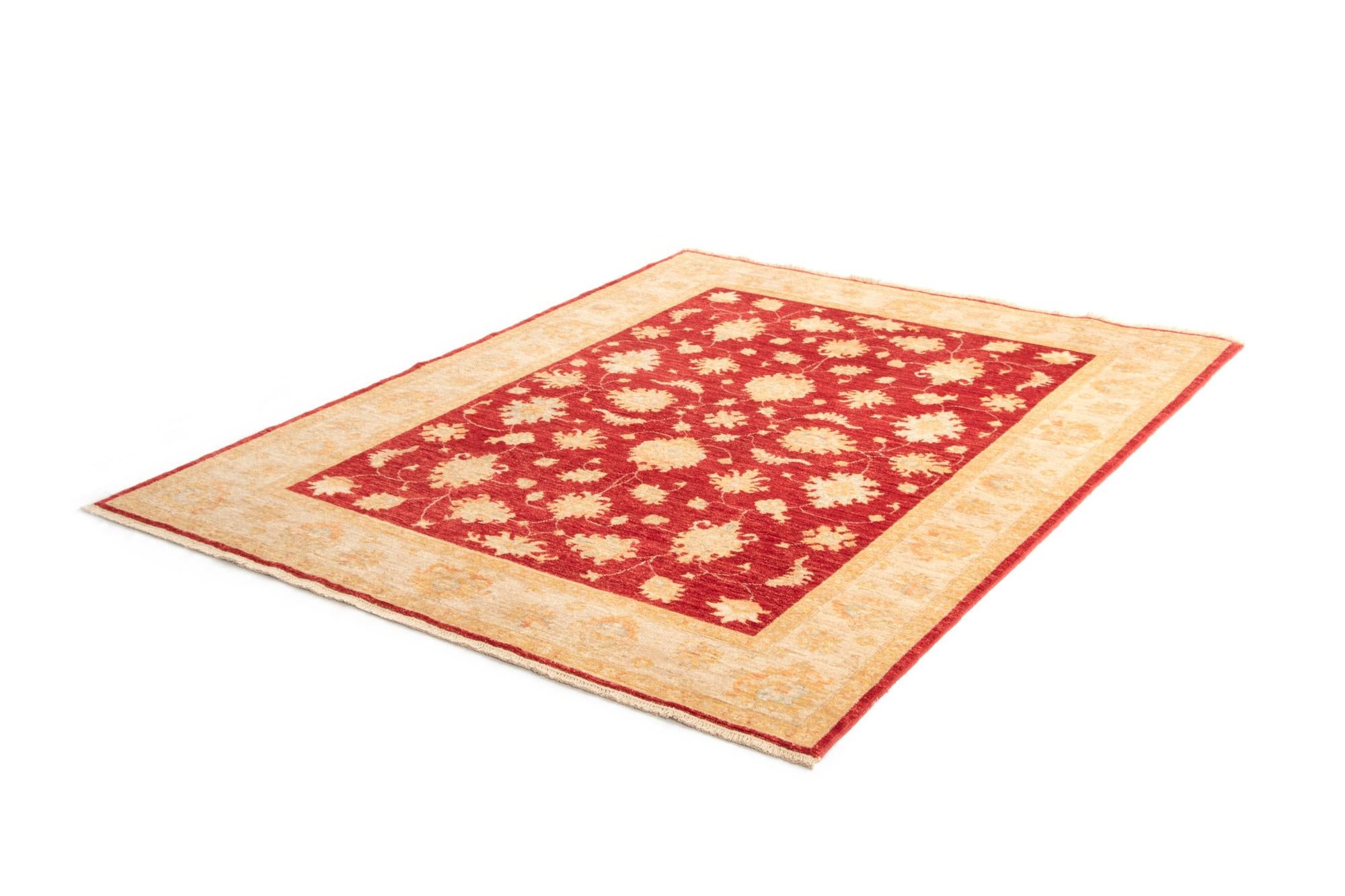 5' x 6' 4 Kaizar Wool Rug