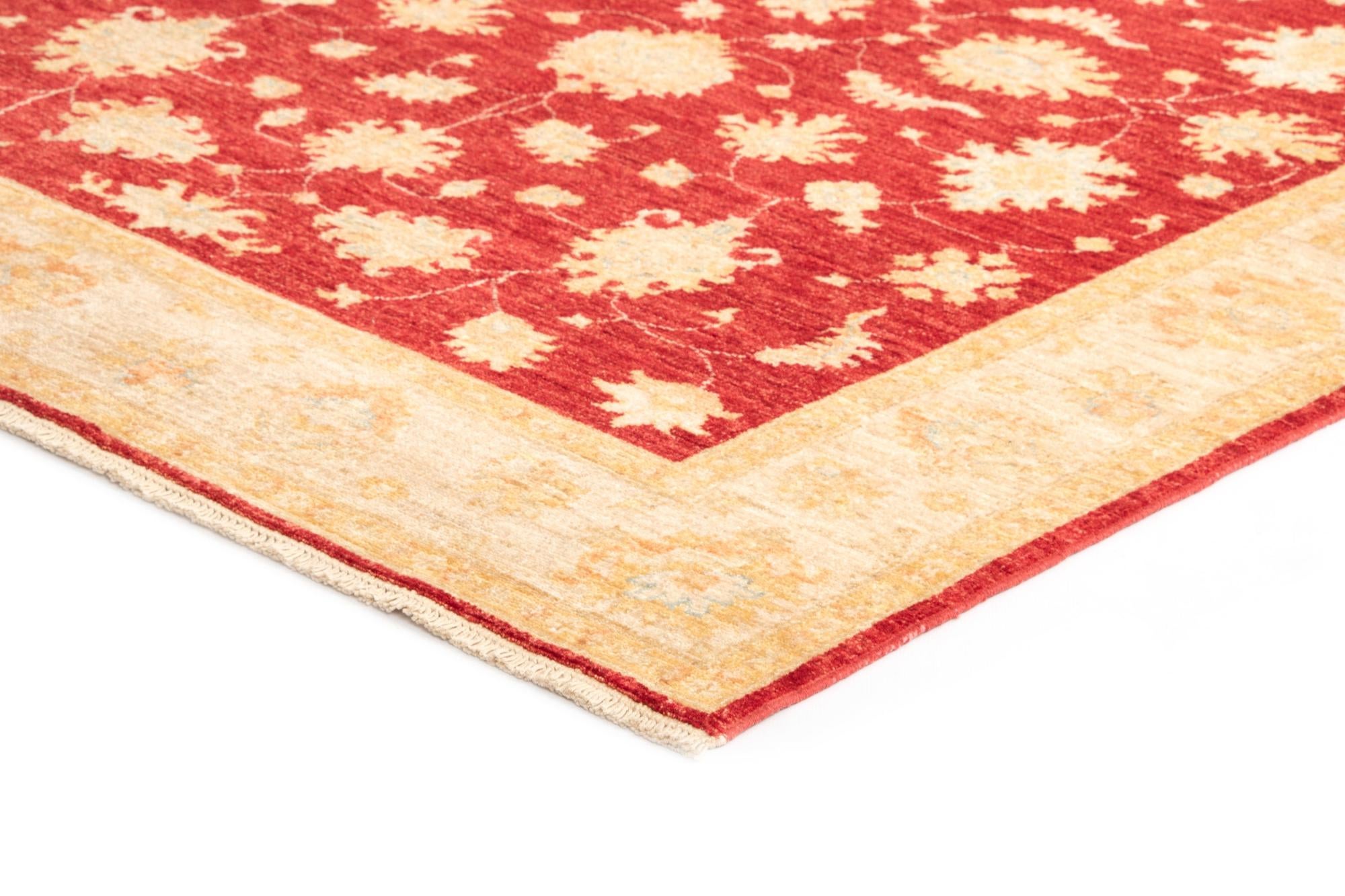 5' x 6' 4 Kaizar Wool Rug