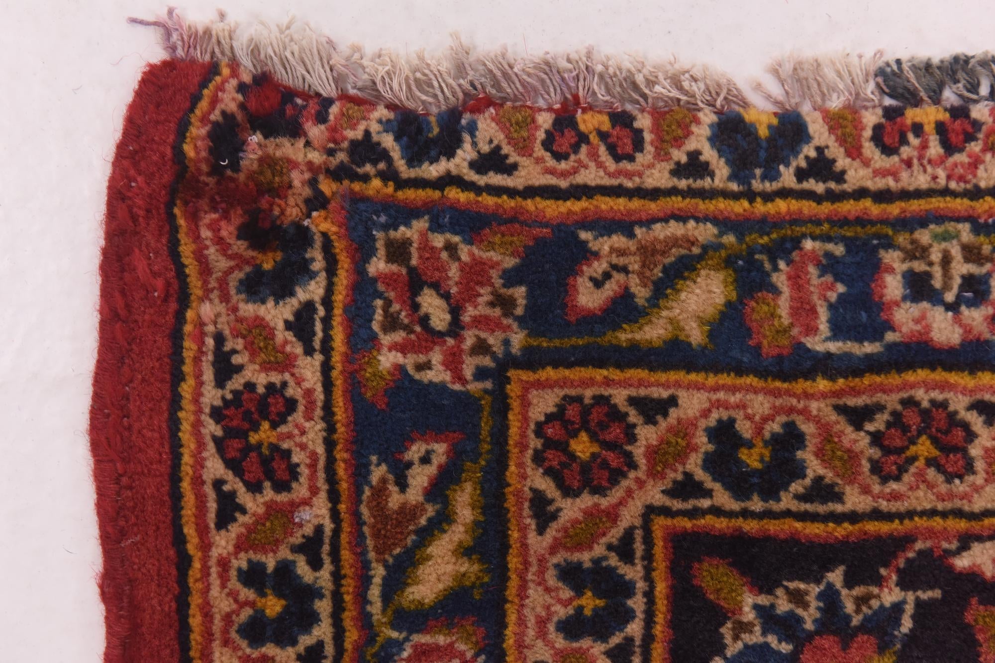305cm x 385cm anudado a mano Kashan Alfombra Persa Lana