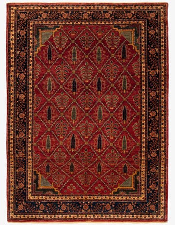 5' 8 x 7' 11 Kashkuli Rug