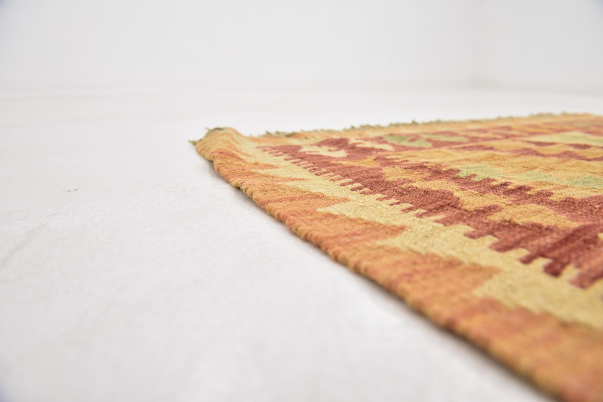 2' 10 x 4' 8 Hand Woven Kilim Waziri Wool Rug