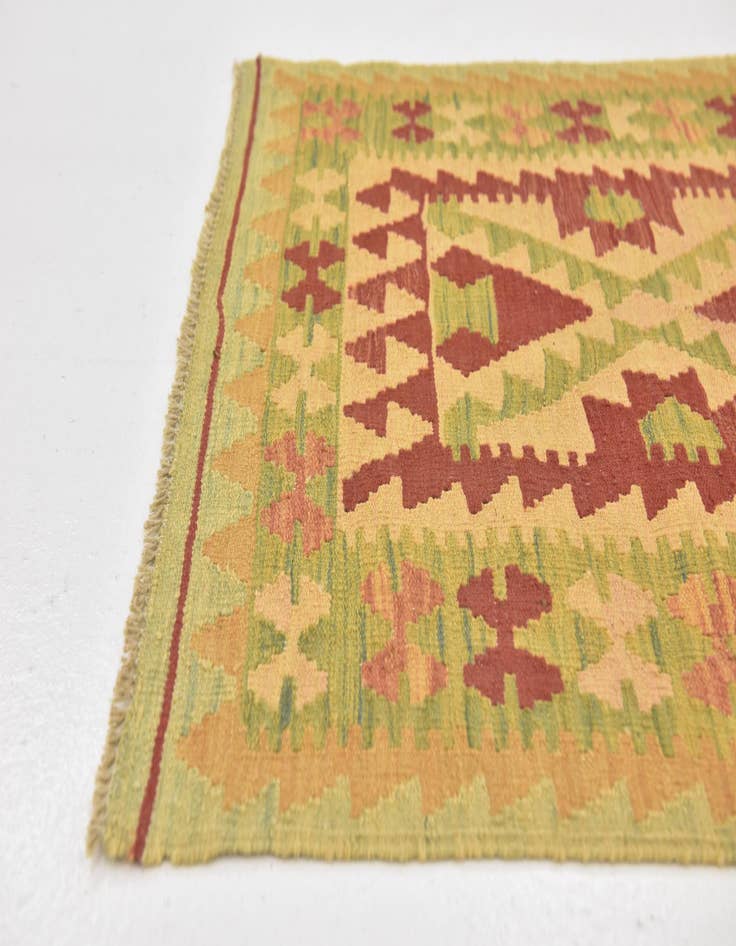 Detail image of 2' 7 x 4' 4  Hand Woven Kilim Waziri Wool Rug