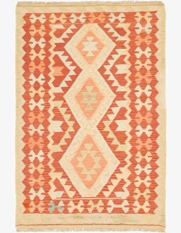 2' 10 x 4' 2 Hand Woven Kilim Waziri Wool Rug
