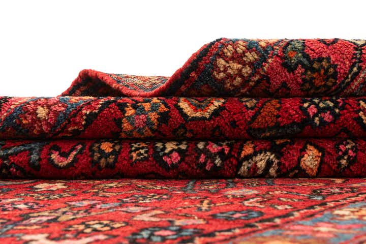 4' 11 x 11' 3 Koliyai Rug
