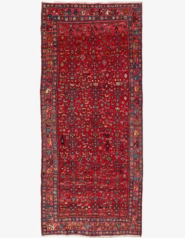 4' 11 x 11' 3 Koliyai Rug