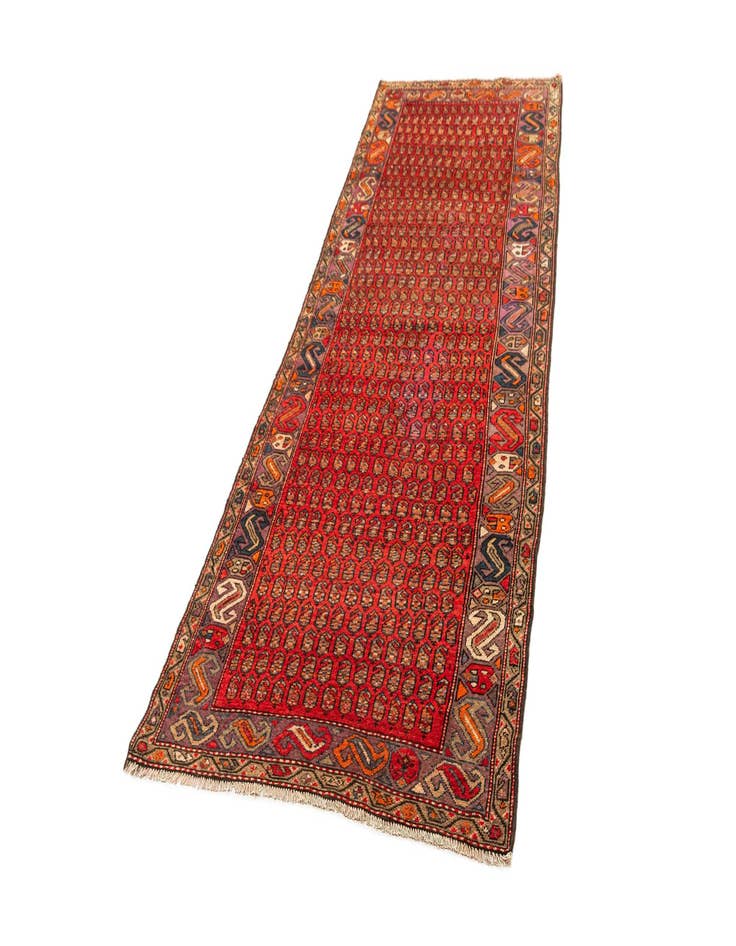 Detail image of 3' 5 x 10' Malayer Rug