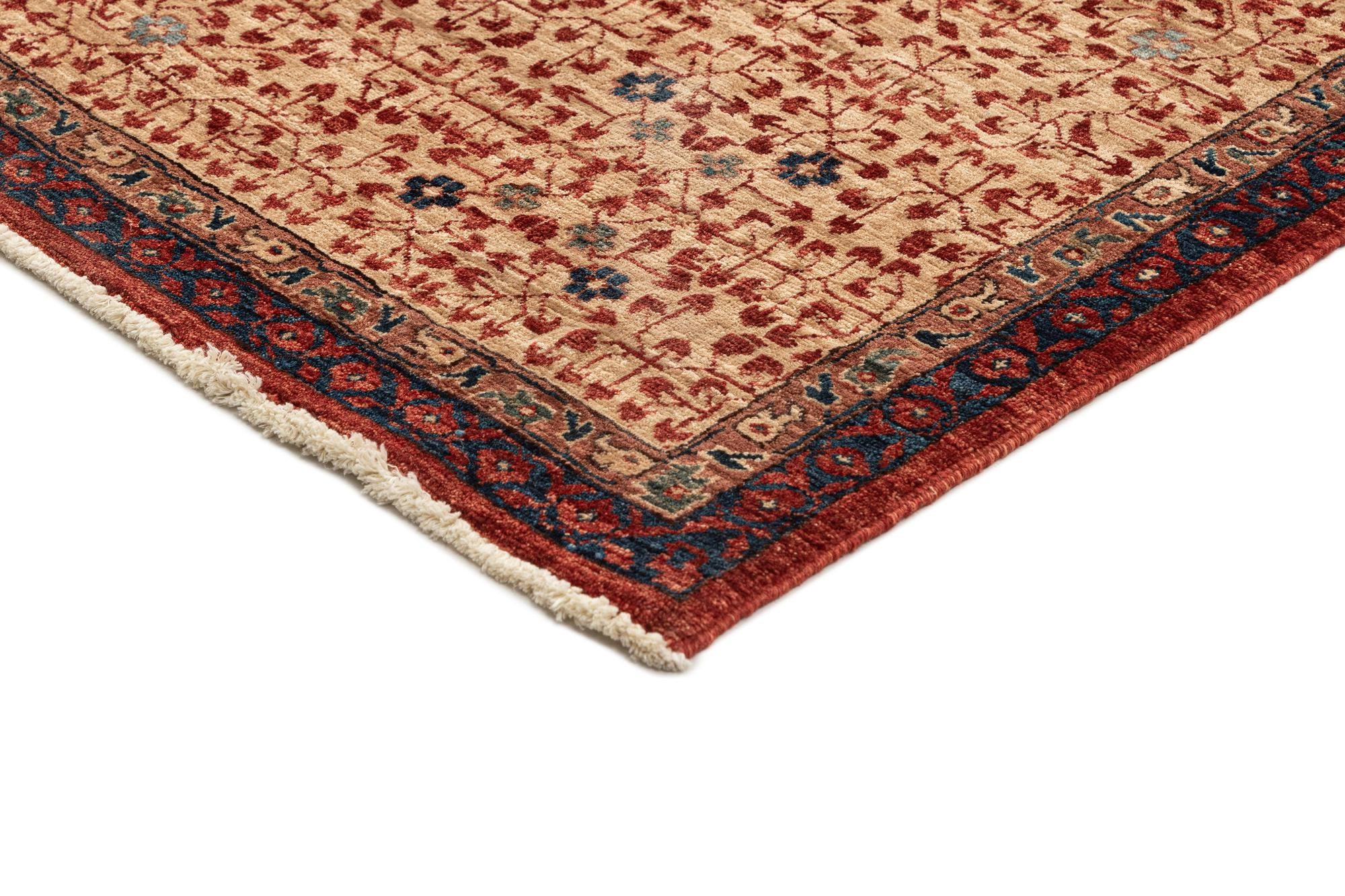 9' 9 x 13' 9 Hand Knotted Mamluk Rug