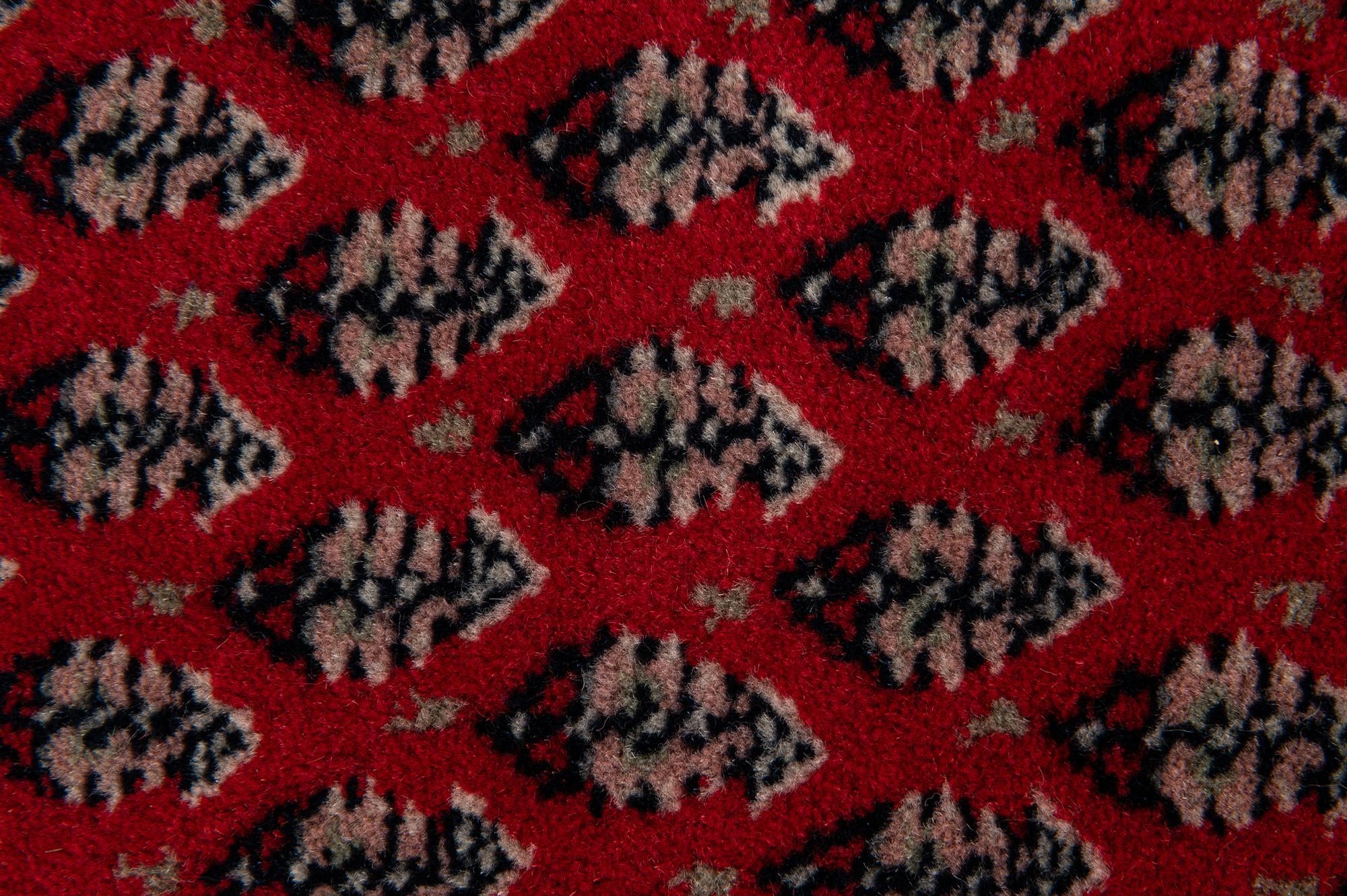 2' 11 x 5' 2 Hand Knotted Mir Wool Rug