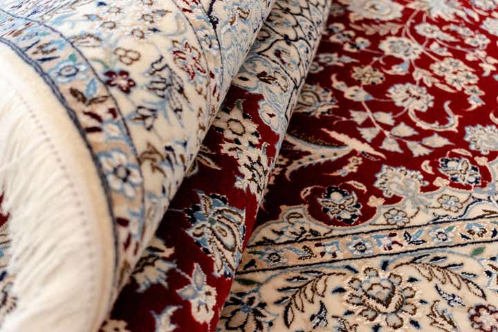 3' 9 x 5' 11 Nain Rug