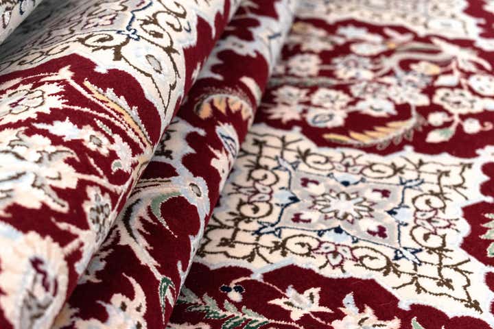 6' 9 x 10' 1 Nain Rug