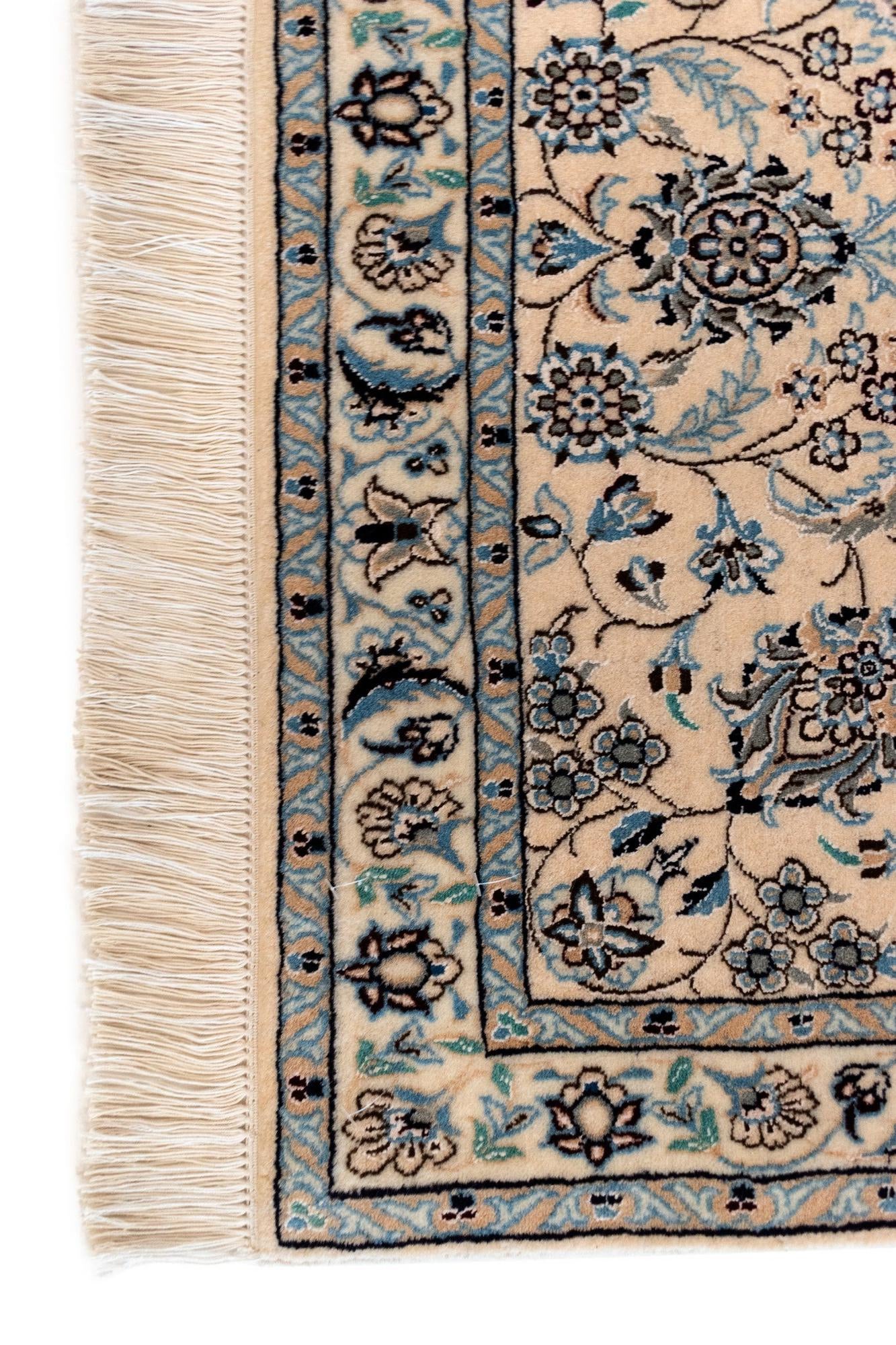 6' 9 x 10' 4 Nain Rug