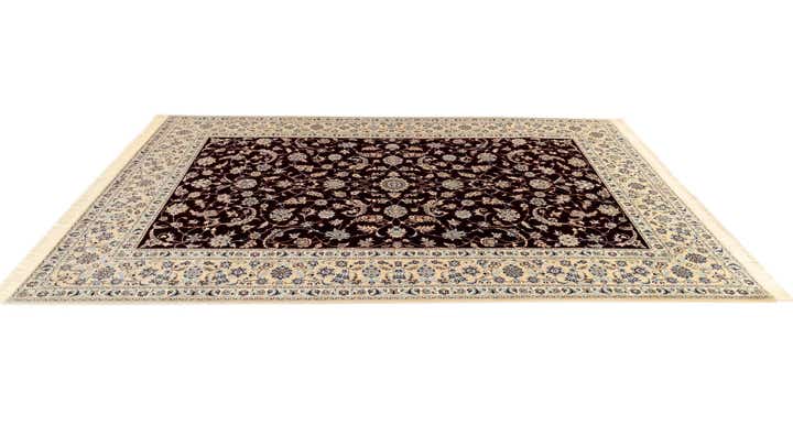 6' 9 x 10' 2 Nain Rug