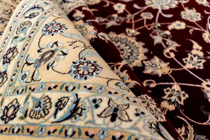 6' 9 x 10' 2 Nain Rug
