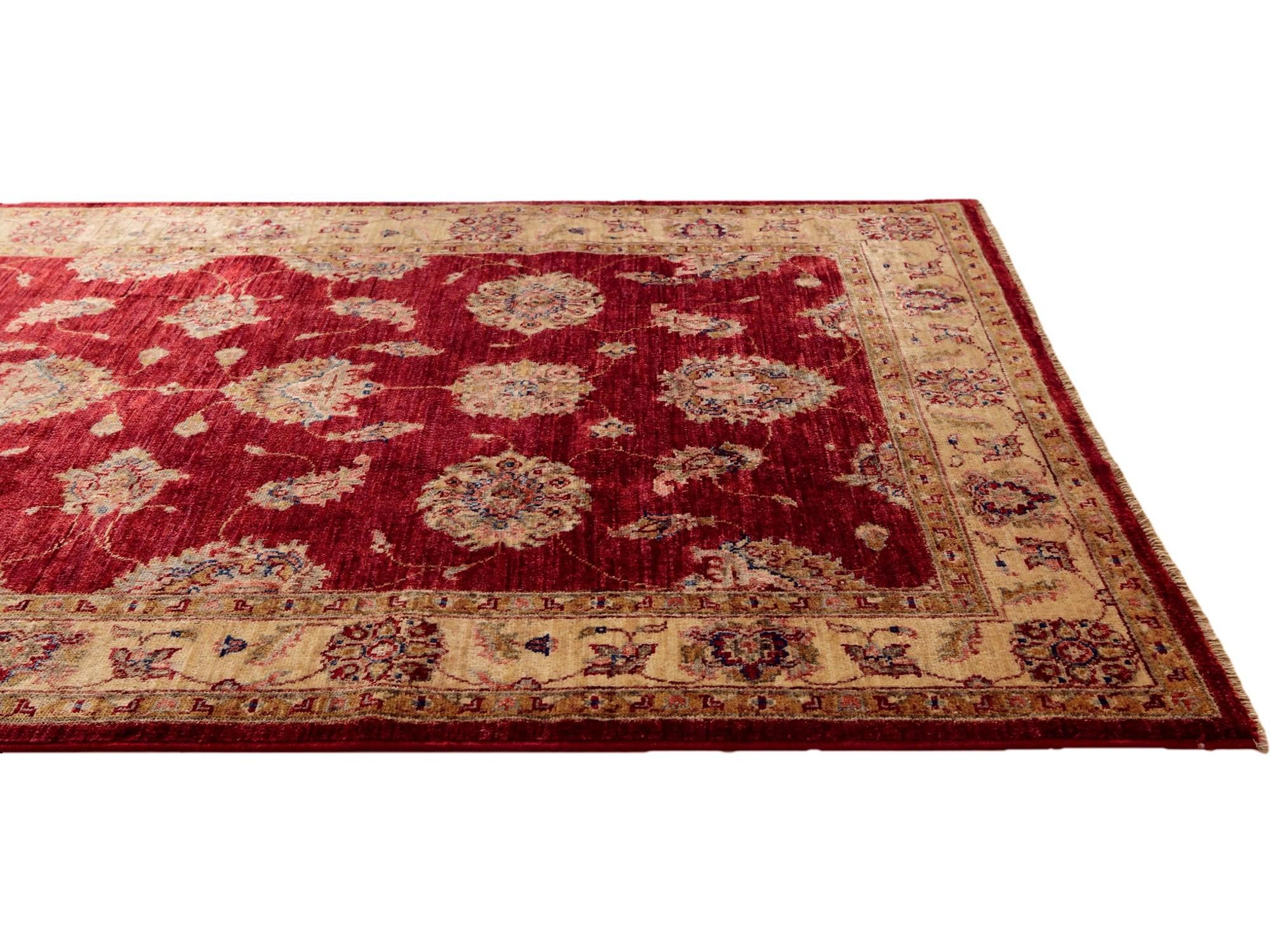 4' x 6' 3 Hand Knotted Pershawar Ziegler Rug