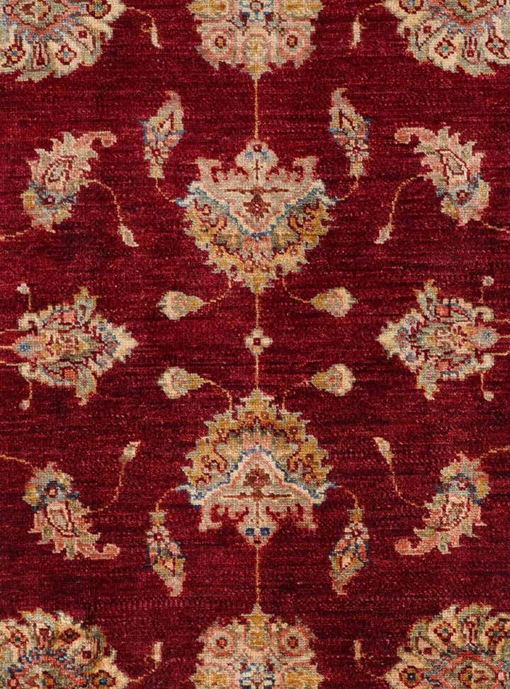 4' x 6' 3 Hand Knotted Pershawar Ziegler Rug