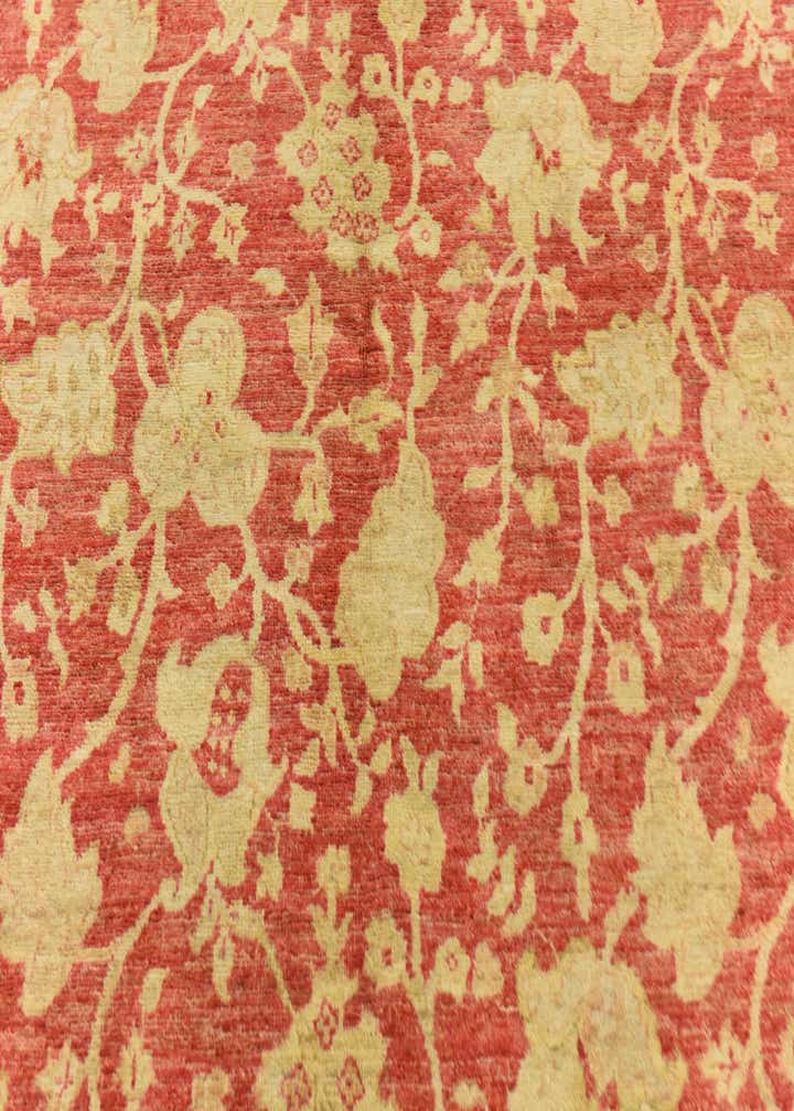 4' 11 x 6' 5 Hand Knotted Peshawar Ziegler Rug