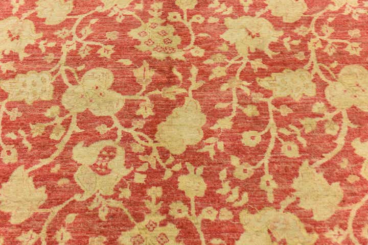 4' 11 x 6' 5 Hand Knotted Peshawar Ziegler Rug