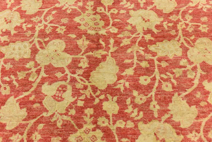 Detail image of 4' 11 x 6' 5 Hand Knotted Peshawar Ziegler Rug