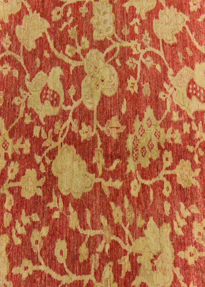 4' 11 x 6' 5 Hand Knotted Peshawar Ziegler Rug