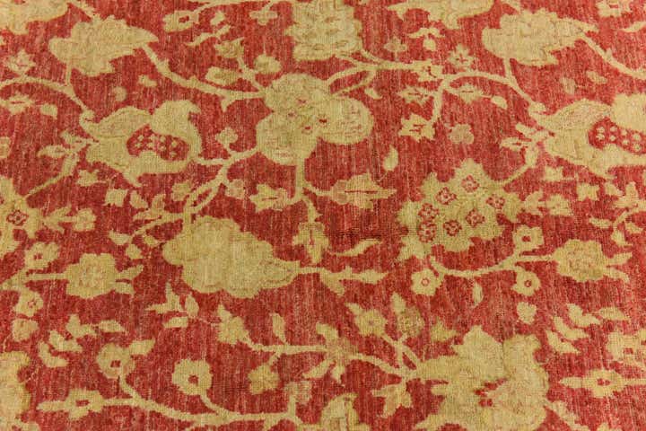 4' 11 x 6' 5 Hand Knotted Peshawar Ziegler Rug