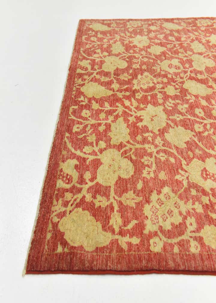 4' 11 x 6' 5 Hand Knotted Peshawar Ziegler Rug
