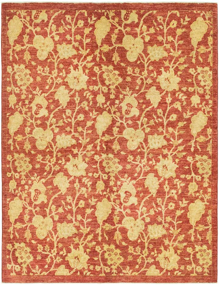 4' 11 x 6' 5 Hand Knotted Peshawar Ziegler Rug
