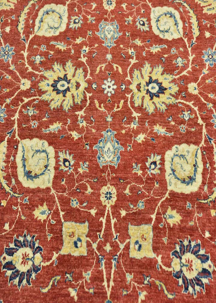 6' 7 x 9' 6 Hand Knotted Peshawar Ziegler Rug