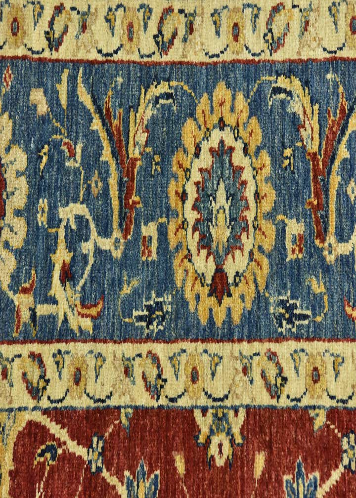 6' 7 x 9' 6 Hand Knotted Peshawar Ziegler Rug