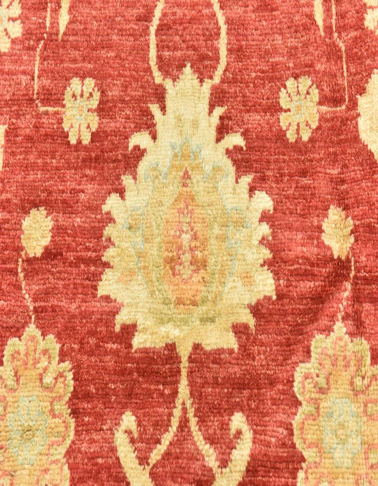 Detail image of 6' 7 x 9' 7 Hand Knotted Peshawar Ziegler Rug