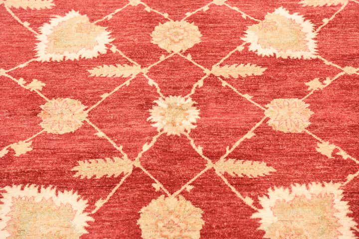 5' 8 x 7' 10 Hand Knotted Peshawar Ziegler Rug