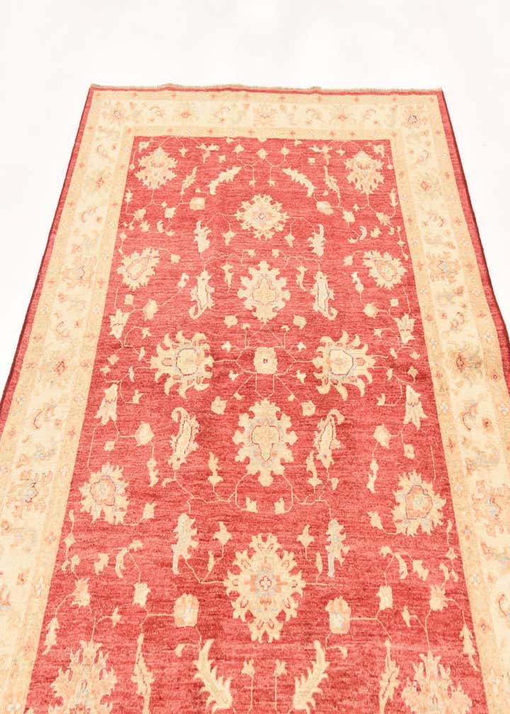 5' 11 x 7' 11 Hand Knotted Peshawar Ziegler Rug