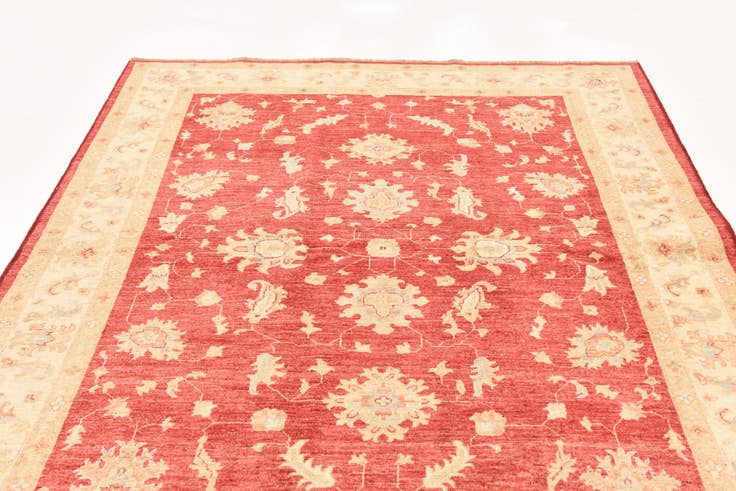Detail image of 5' 11 x 7' 11 Hand Knotted Peshawar Ziegler Rug