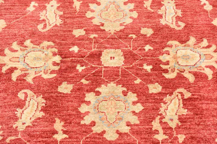 5' 11 x 7' 11 Hand Knotted Peshawar Ziegler Rug