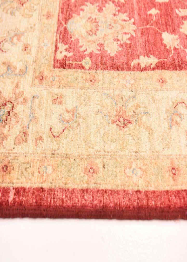 5' 11 x 7' 11 Hand Knotted Peshawar Ziegler Rug