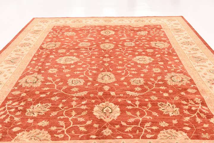 9' 11 x 12' 11 Hand Knotted Peshawar Ziegler Rug