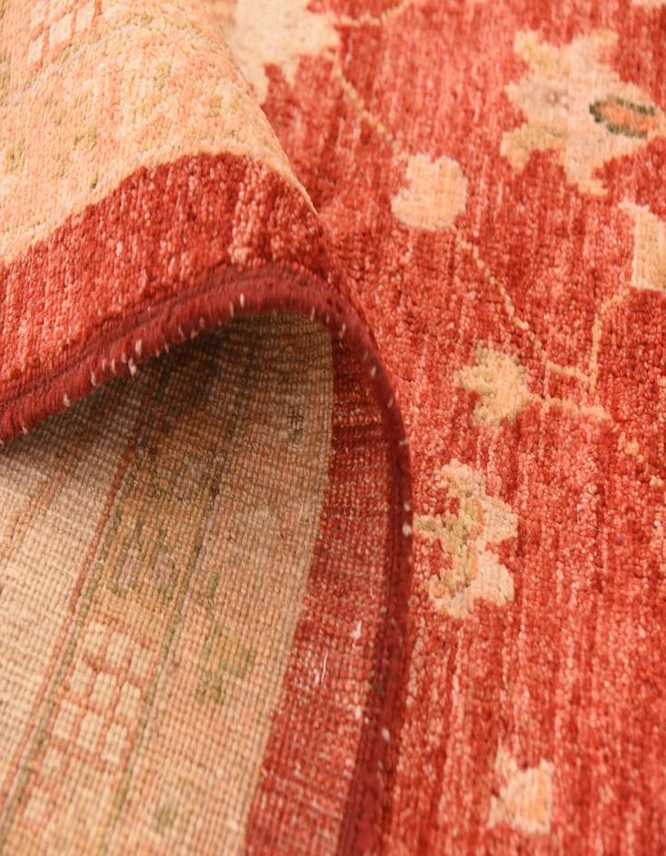 Detail image of 9' 10 x 13' 1  Hand Knotted Peshawar Ziegler Rug