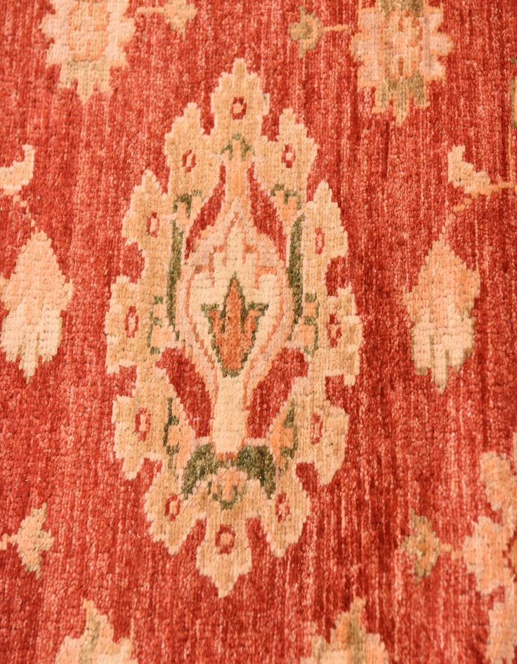 Detail image of 9' 10 x 13' 1  Hand Knotted Peshawar Ziegler Rug