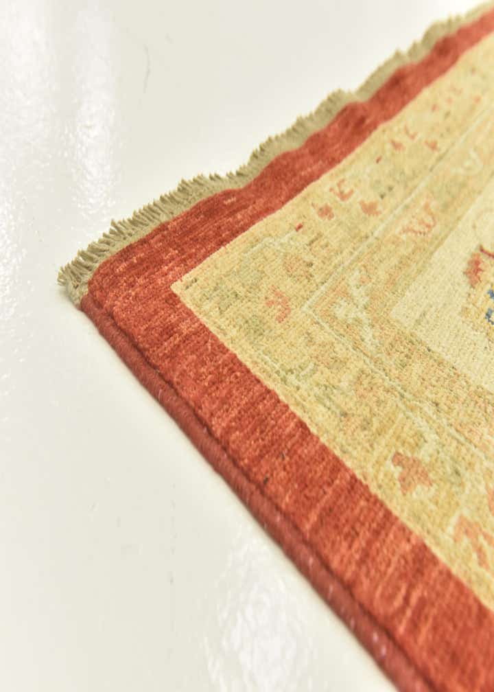 9' 10 x 13' 3 Hand Knotted Peshawar Ziegler Rug