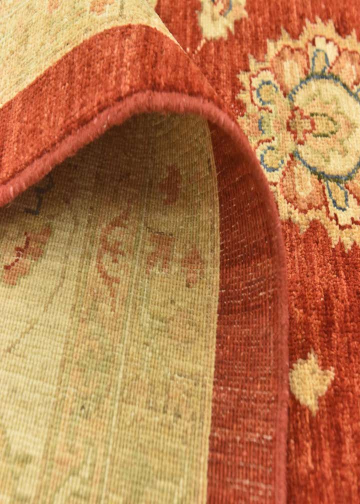 9' 10 x 13' 3 Hand Knotted Peshawar Ziegler Rug