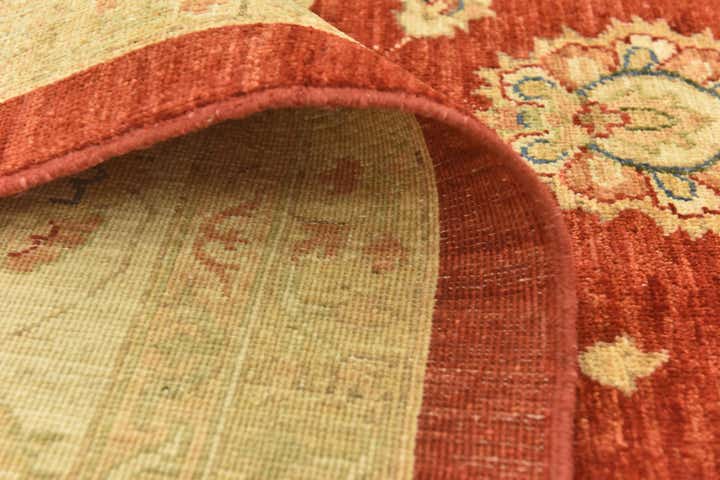 9' 10 x 13' 3 Hand Knotted Peshawar Ziegler Rug