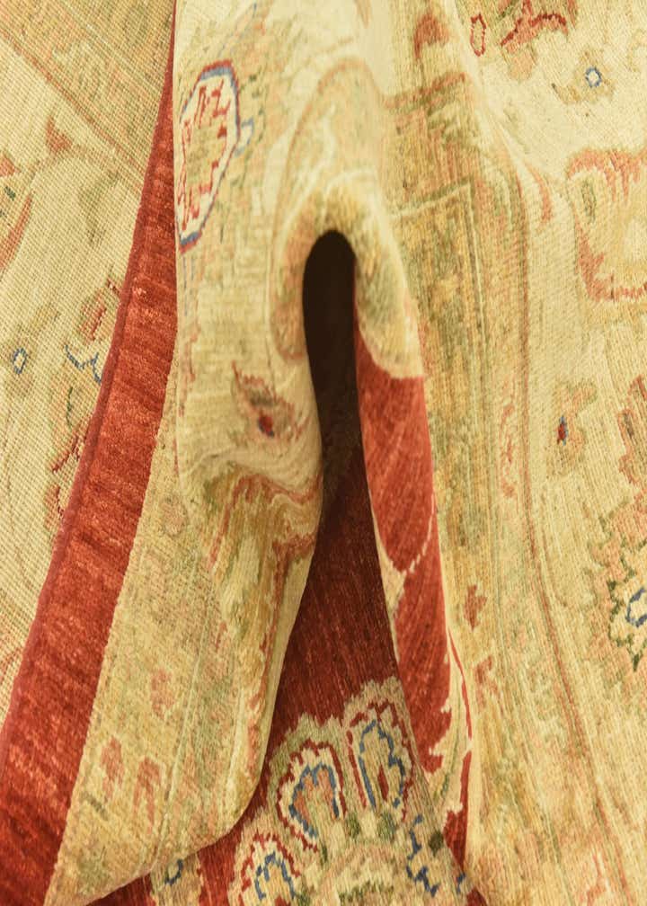 9' 10 x 13' 3 Hand Knotted Peshawar Ziegler Rug