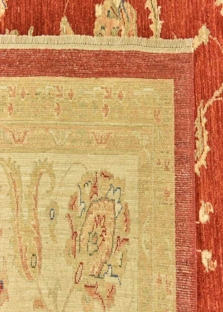 9' 10 x 13' 3 Hand Knotted Peshawar Ziegler Rug