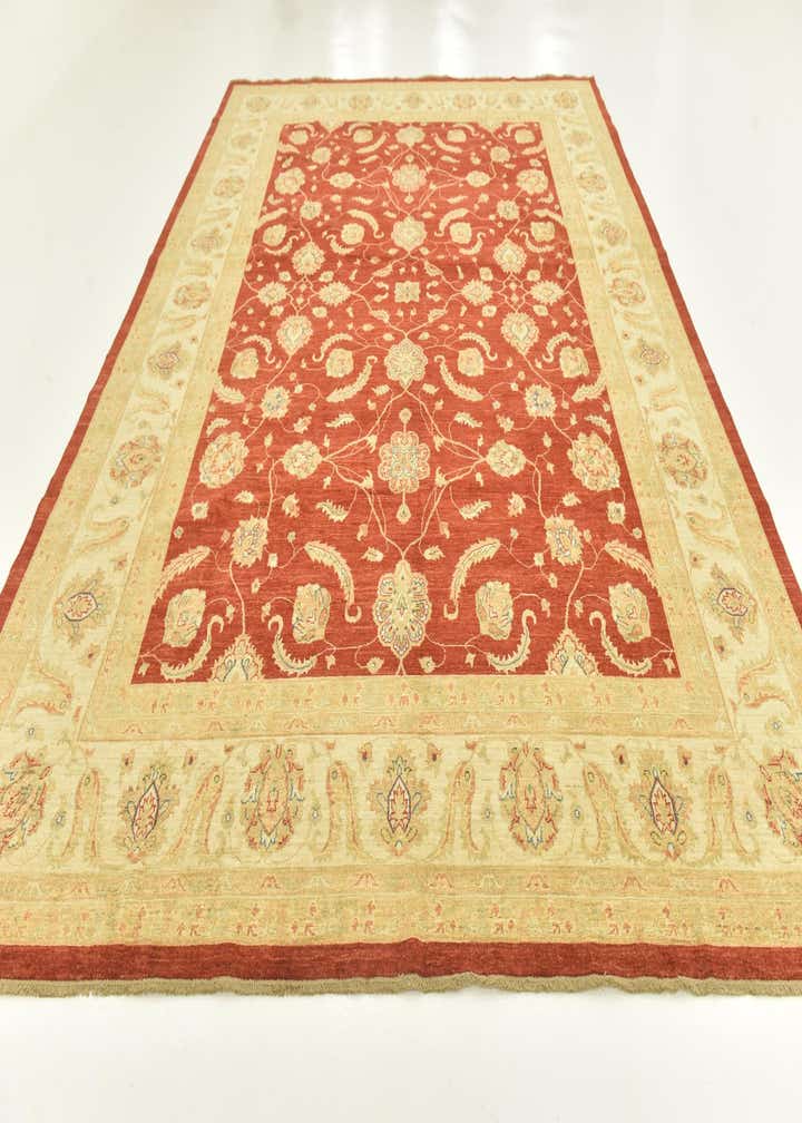 9' 10 x 13' 3 Hand Knotted Peshawar Ziegler Rug